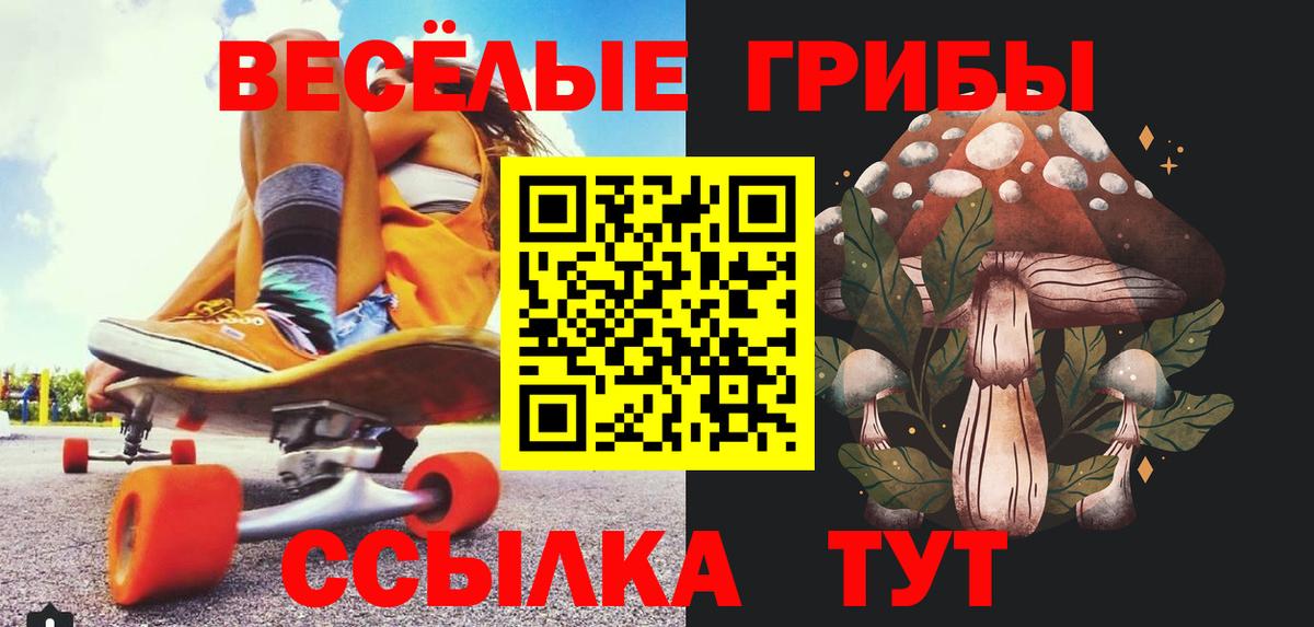 Галлюциногенные грибы мицелий Троицк