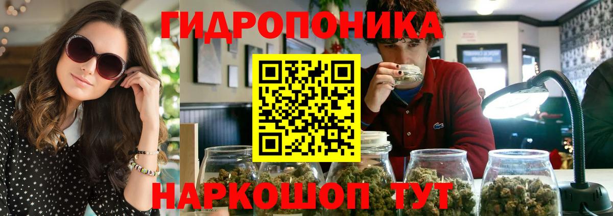 Шишки марихуана сатива  МАРИХУАНА план  Бошки марихуана план  Вход с VPN  МАРИХУАНА план  Троицк 